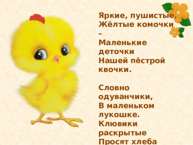 Яркие, пушистые,  Жёлтые комочки –  Маленькие деточки  Нашей пёстрой квочки.   Словно одуванчики,  В маленьком лукошке.  Клювики раскрытые  Просят хлеба крошки.   Я возьму тихонечко  Золотое чудо,  Я цыплёнка – лапочку  Обижать не буду. 