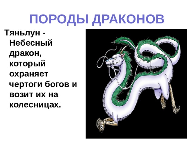 ПОРОДЫ ДРАКОНОВ  Тяньлун - Небесный дракон, который охраняет чертоги богов и возит их на колесницах. 