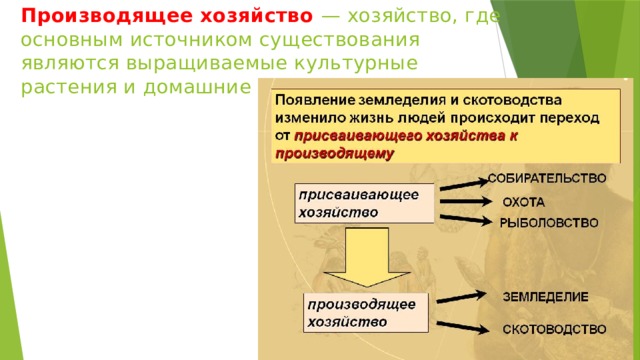 Производящее хозяйство — хозяйство, где основным источником существования являются выращиваемые культурные растения и домашние животные. 