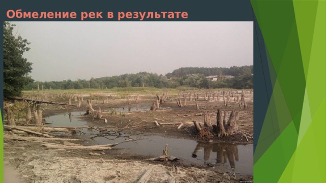 Обмеление рек в результате вырубки лесов 