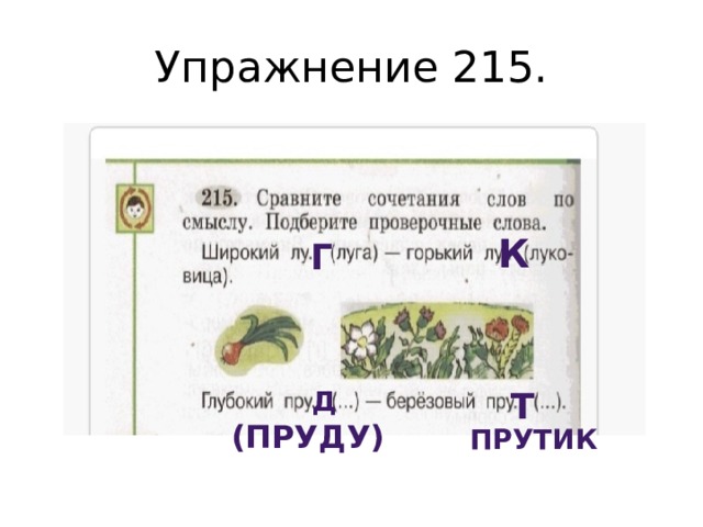 Упражнение 215. к г д т (пруду) прутик 