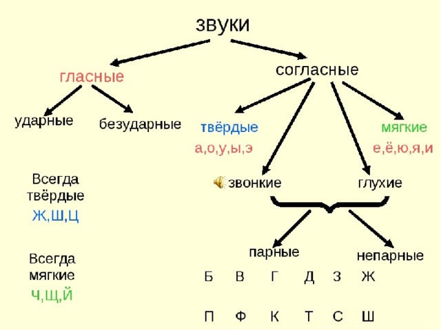 Схема глухих и звонких согласных 1 класс