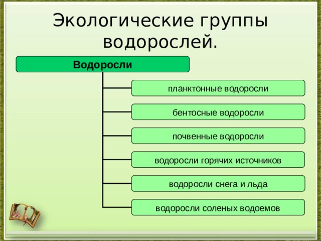 Экологические группы водорослей. Водоросли планктонные водоросли бентосные водоросли почвенные водоросли водоросли горячих источников водоросли снега и льда водоросли соленых водоемов 