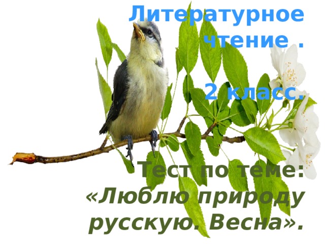      Литературное  чтение .  2 класс.   Тест по теме: «Люблю природу русскую. Весна». 