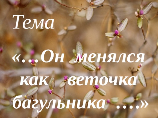 Тема «…Он менялся как веточка багульника … .»