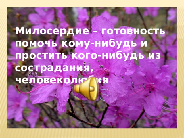 Милосердие – готовность помочь кому-нибудь и простить кого-нибудь из сострадания, человеколюбия