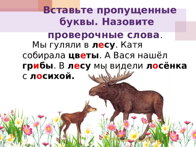  Вставьте пропущенные буквы. Назовите проверочные слова .    Мы гуляли в л е су . Катя собирала цв е ты . А Вася нашёл гр и бы . В л е су мы видели л о сёнка с л о сихой. 