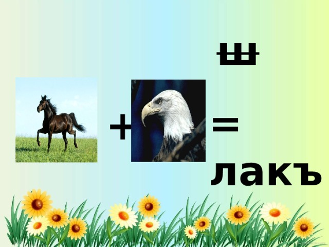 ш = лакъ + 