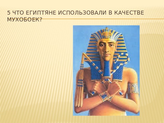 5 Что египтяне использовали В качестве мухобоек? 