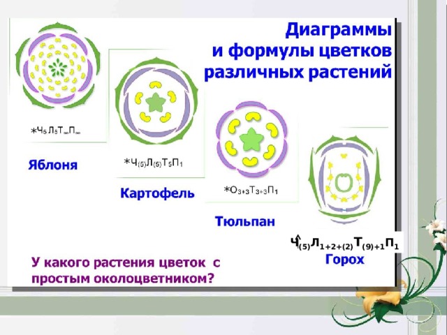 Диаграмма цветка обозначения