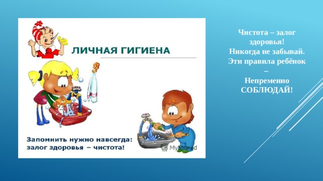 Чистота – залог здоровья! Никогда не забывай. Эти правила ребёнок – Непременно СОБЛЮДАЙ! 