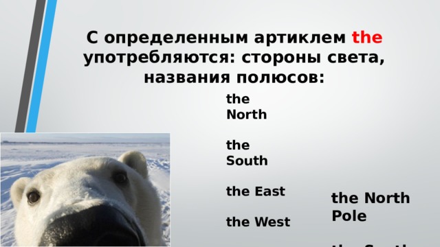 C определенным артиклем the употребляются: стороны света, названия полюсов: the North  the South  the East  the West the North Pole  the South Pole 