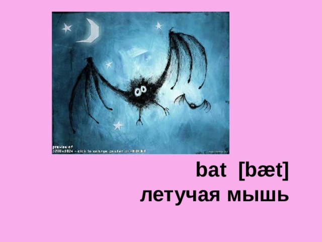 bat [bæt]  летучая мышь 