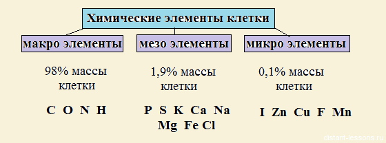 Написать схему химического состава клетки с примером