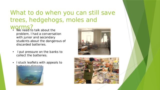 What to do when you can still save trees, hedgehogs, moles and worms? We need to talk about the problem. I had a conversation with junior and secondary students about the dangerous of discarded batteries.    I put pressure on the banks to collect the batteries.   I stuck leaflets with appeals to batteries dispose. 