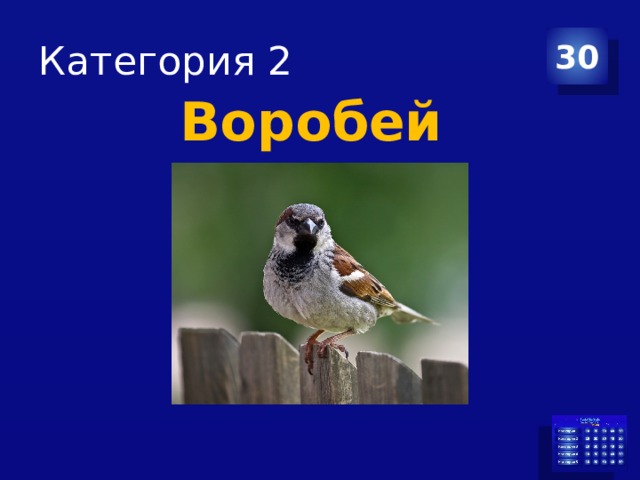 Категория 2 30 Воробей  