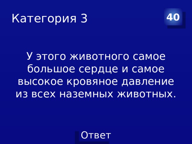 Категория 3 40 У этого животного самое большое сердце и самое высокое кровяное давление из всех наземных животных. 