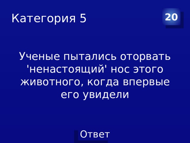 Категория 5 20 Ученые пытались оторвать 'ненастоящий' нос этого животного, когда впервые его увидели 