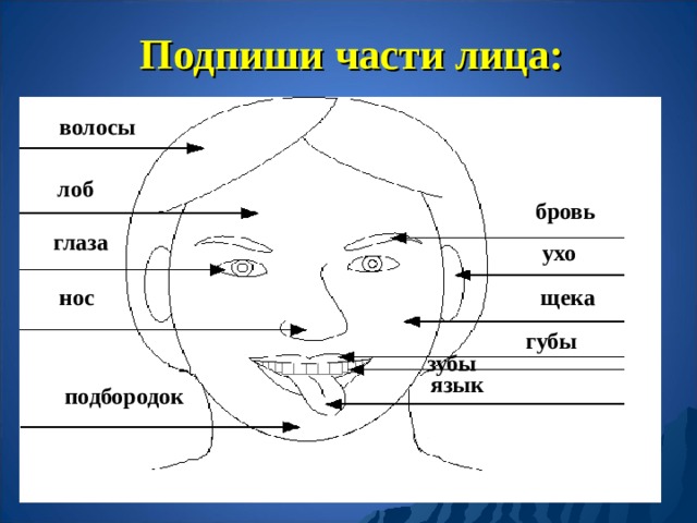 Презентация на тему фейс