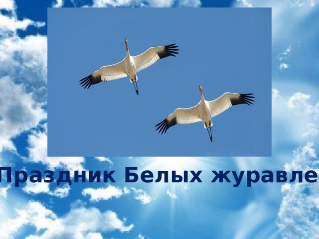 Праздник Белых журавлей