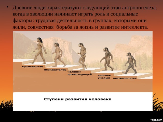 Древний этап формирования. Ступени развития человека Антропогенез. Этапы эволюции человечества. Древнейшие люди Эволюция. Стадии развития человека.