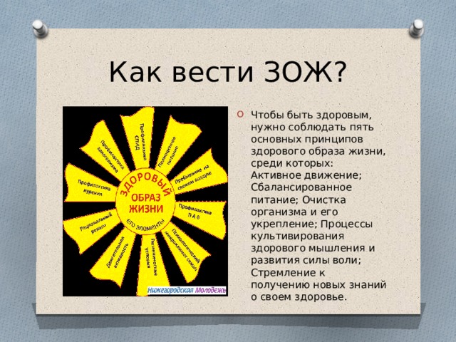 Как вести ЗОЖ? Чтобы быть здоровым, нужно соблюдать пять основных принципов здорового образа жизни, среди которых: Активное движение; Сбалансированное питание; Очистка организма и его укрепление; Процессы культивирования здорового мышления и развития силы воли; Стремление к получению новых знаний о своем здоровье.   