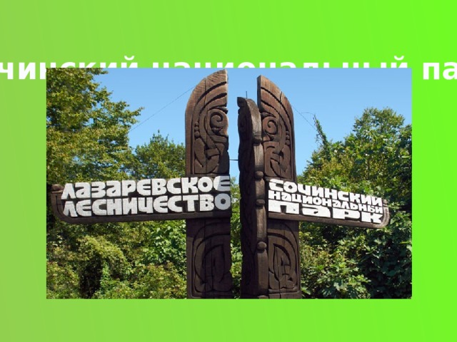 Сочинский национальный парк 