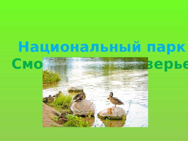 Национальный парк Смоленское поозерье 