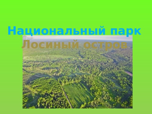 Национальный парк Лосиный остров  