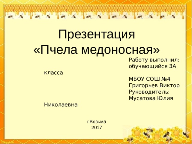Презентация  «Пчела медоносная»  Работу выполнил:  обучающийся 3А класса  МБОУ СОШ №4  Григорьев Виктор  Руководитель:  Мусатова Юлия Николаевна г.Вязьма 201 7 