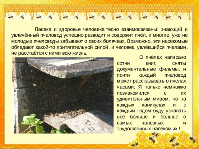  Пасека и здоровье человека тесно взаимосвязаны: знающий и увлечённый пчеловод успешно разводит и содержит пчёл, и многие, уже не молодые пчеловоды забывают о своих болячках. Возможно, эти насекомые обладают какой-то притягательной силой, и человек, увлёкшийся пчелами, не расстаётся с ними всю жизнь.  О пчёлах написано сотни книг, сняты документальные фильмы, и почти каждый пчеловод может рассказывать о пчелах часами. Я только немножко познакомился с их удивительным миром, но на каждых каникулах и с каждым годом буду узнавать всё больше и больше о самых полезных и трудолюбивых насекомых.! 