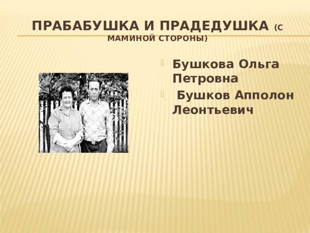 Прабабушка и прадедушка (с маминой стороны) Бушкова Ольга Петровна  Бушков Апполон Леонтьевич 