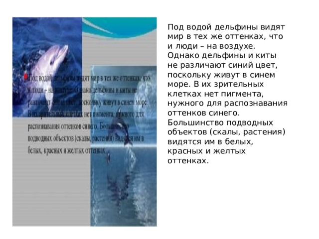 Под водой дельфины видят мир в тех же оттенках, что и люди – на воздухе. Однако дельфины и киты не различают синий цвет, поскольку живут в синем море. В их зрительных клетках нет пигмента, нужного для распознавания оттенков синего. Большинство подводных объектов (скалы, растения) видятся им в белых, красных и желтых оттенках. 
