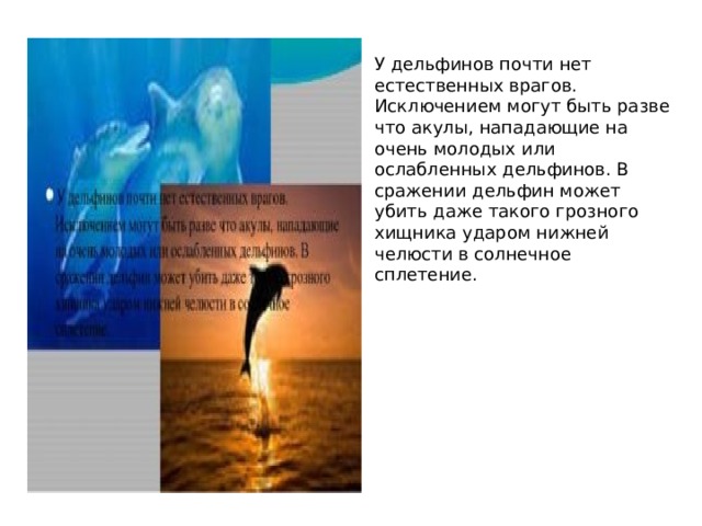 У дельфинов почти нет естественных врагов. Исключением могут быть разве что акулы, нападающие на очень молодых или ослабленных дельфинов. В сражении дельфин может убить даже такого грозного хищника ударом нижней челюсти в солнечное сплетение. 