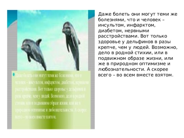 Даже болеть они могут теми же болезнями, что и человек – инсультом, инфарктом, диабетом, нервными расстройствами. Вот только здоровье у дельфинов в разы крепче, чем у людей. Возможно, дело в родной стихии, или в подвижном образе жизни, или же в природном оптимизме и любознательности. А скорее всего – во всем вместе взятом. 