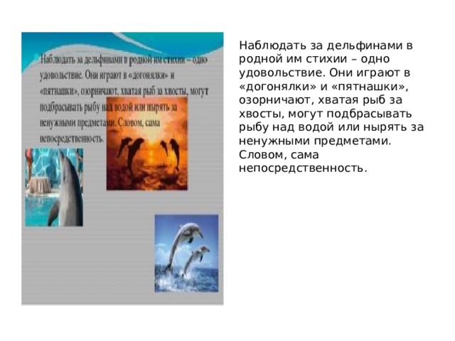 Наблюдать за дельфинами в родной им стихии – одно удовольствие. Они играют в «догонялки» и «пятнашки», озорничают, хватая рыб за хвосты, могут подбрасывать рыбу над водой или нырять за ненужными предметами. Словом, сама непосредственность. 