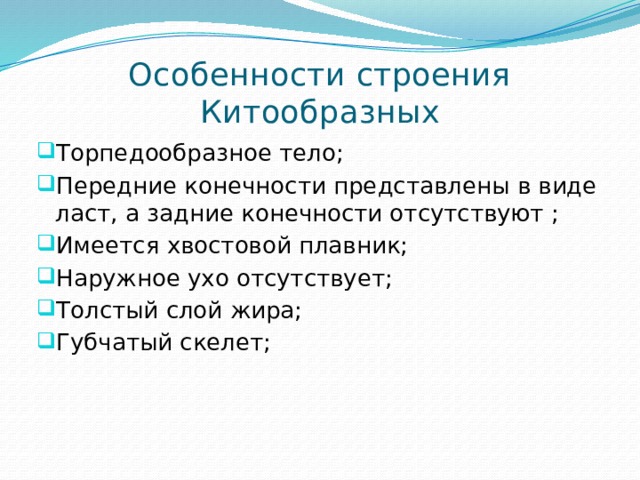Особенности строения Китообразных Торпедообразное тело; Передние конечности представлены в виде ласт, а задние конечности отсутствуют ; Имеется хвостовой плавник; Наружное ухо отсутствует; Толстый слой жира; Губчатый скелет; 