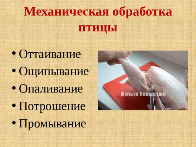 Механическая обработка птицы Оттаивание Ощипывание Опаливание Потрошение Промывание 