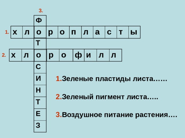 Вопросы по фотосинтезу 6 класс. Фотосинтез кроссворд 6 класс биология. Кроссворд на тему воздушное питание растений фотосинтез 6 класс. Биология 6 класс кроссворд на тему фотосинтез. Вопросы по теме фотосинтез.