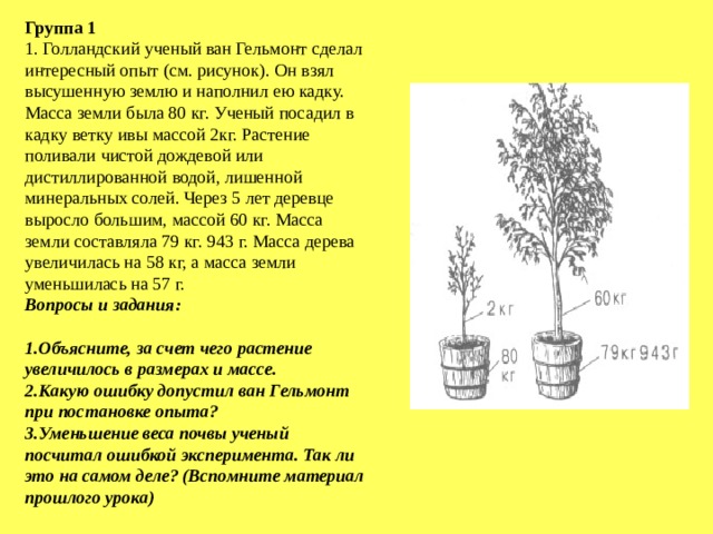 Масса растений. Ян Ван Гельмонт опыт с ивой. Опыт Ван Гельмонта с ивой. Ян Баптиста Ван Гельмонт опыт с деревом. Опыт Ван Гельмонта фотосинтез.