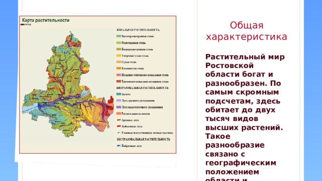 Общая характеристика Растительный мир Ростовской области богат и разнообразен. По самым скромным подсчетам, здесь обитает до двух тысяч видов высших растений. Такое разнообразие связано с географическим положением области и особенностями почв и подстилающих их пород  