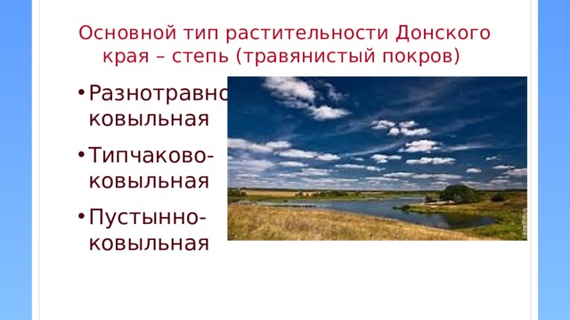 Основной тип растительности Донского края – степь (травянистый покров) Разнотравно-ковыльная Типчаково-ковыльная Пустынно-ковыльная  