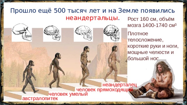 Прошло ещё 500 тысяч лет и на Земле появились неандертальцы . Рост 160 см, объём мозга 1400-1740 см³ Плотное телосложение, короткие руки и ноги, мощные челюсти и большой нос. неандерталец человек прямоходящий человек умелый австралопитек 