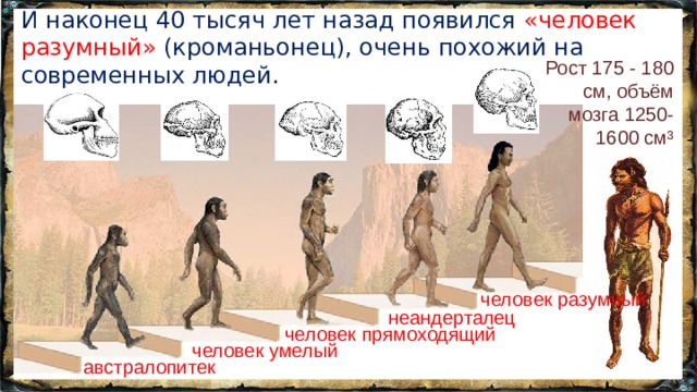 И наконец 40 тысяч лет назад появился «человек разумный» (кроманьонец), очень похожий на современных людей. Рост 175 - 180 см, объём мозга 1250-1600 см³ человек разумный неандерталец человек прямоходящий человек умелый австралопитек 