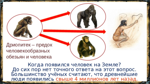 Дриопитек – предок человекообразных обезьян и человека Когда появился человек на Земле? До сих пор нет точного ответа на этот вопрос. Большинство учёных считают, что древнейшие люди появились свыше 4 миллионов лет назад. 