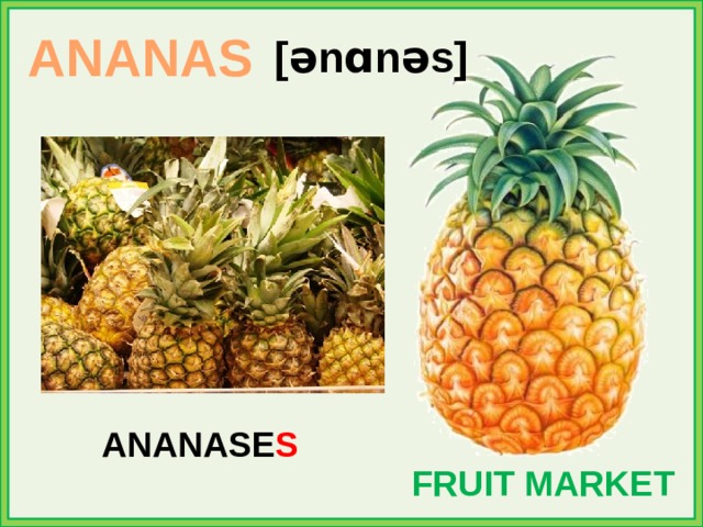 ANANAS [ənɑnəs] ANANASE S FRUIT MARKET 
