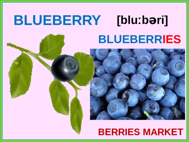 BLUEBERRY [bluːbəri] BLUEBERR IES BERRIES MARKET 