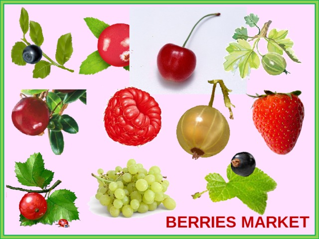 BERRIES MARKET 