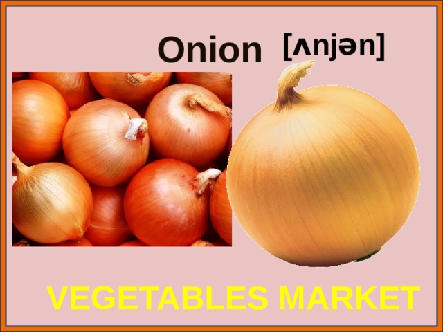 Onion [ʌnjən] VEGETABLES MARKET 