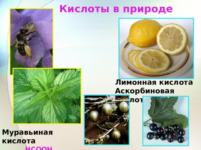 Кислоты в природе Лимонная кислота Аскорбиновая кислота Муравьиная кислота НСООН 